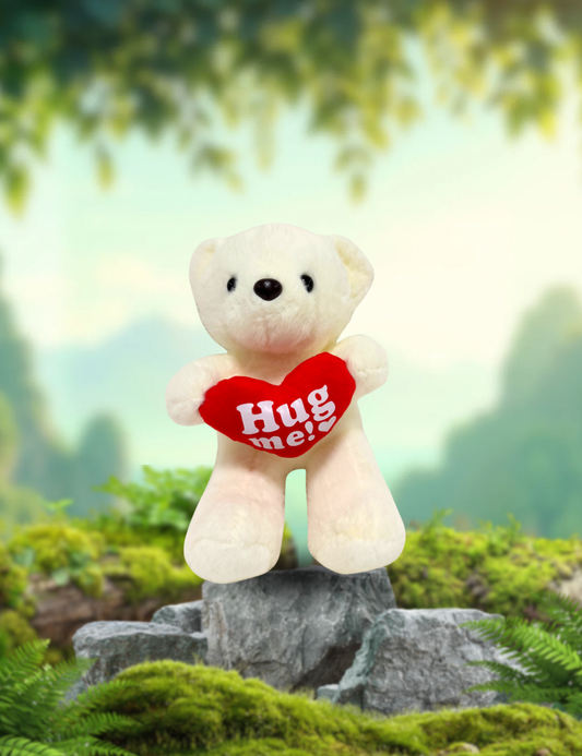 Small Hug Me Bear