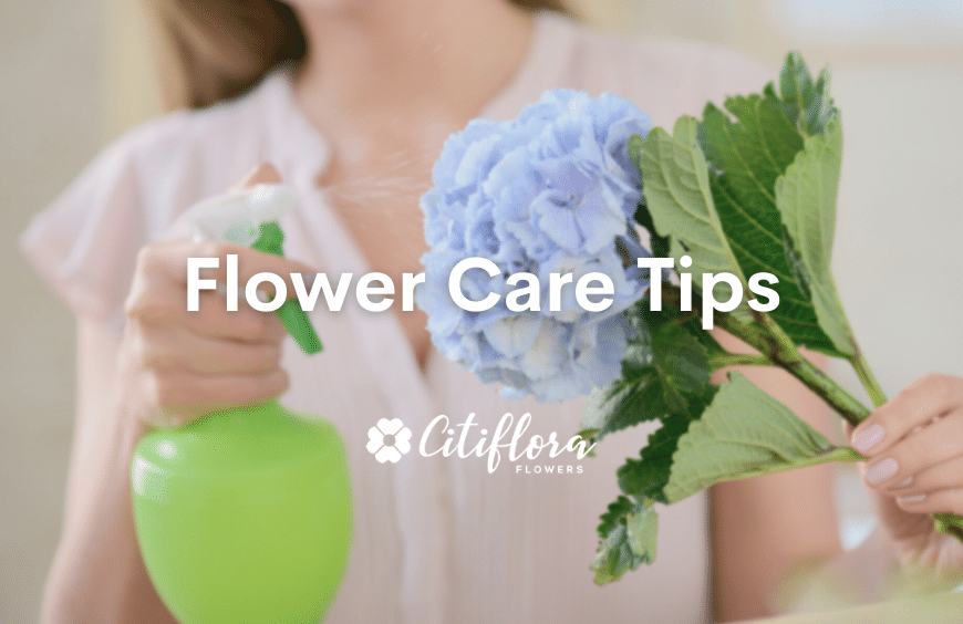Flower Care Tips